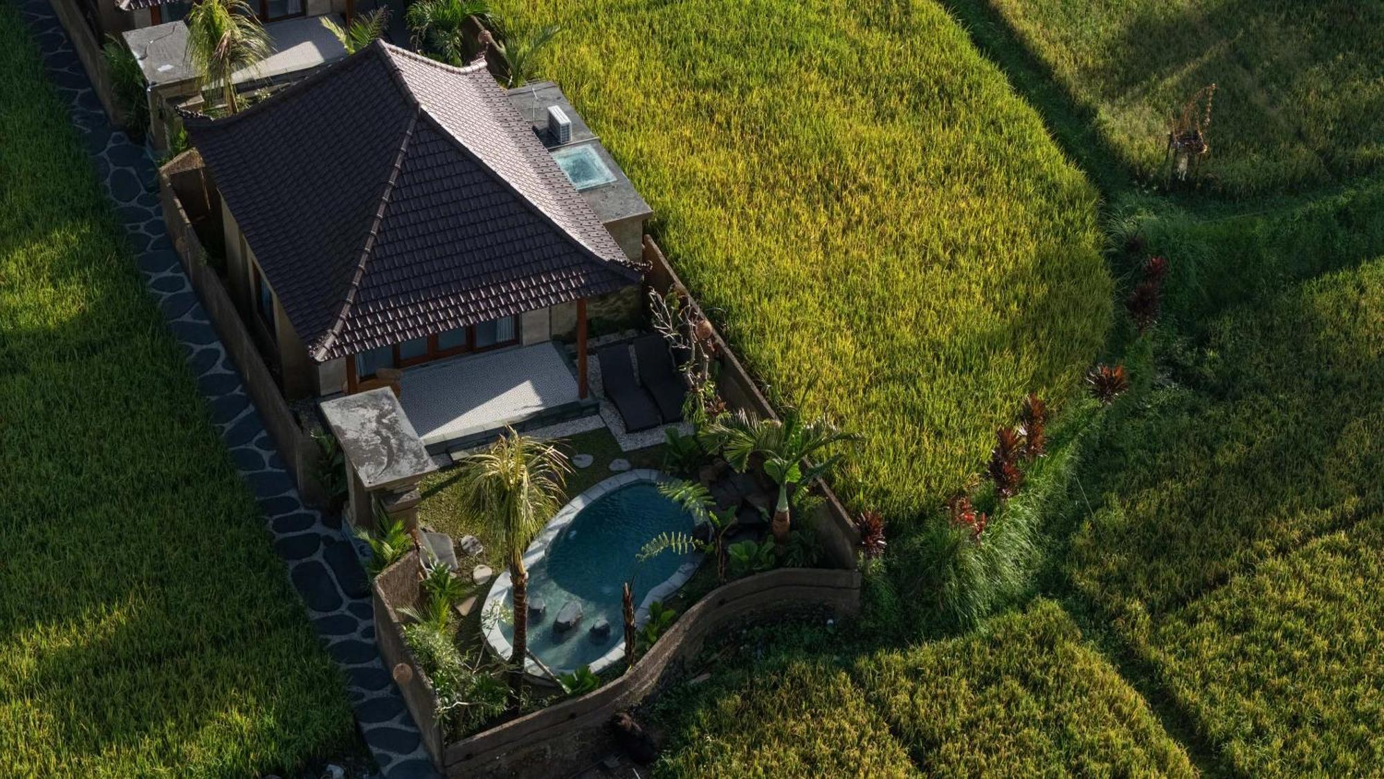 Sawah Sebatu Villa 乌布 外观 照片