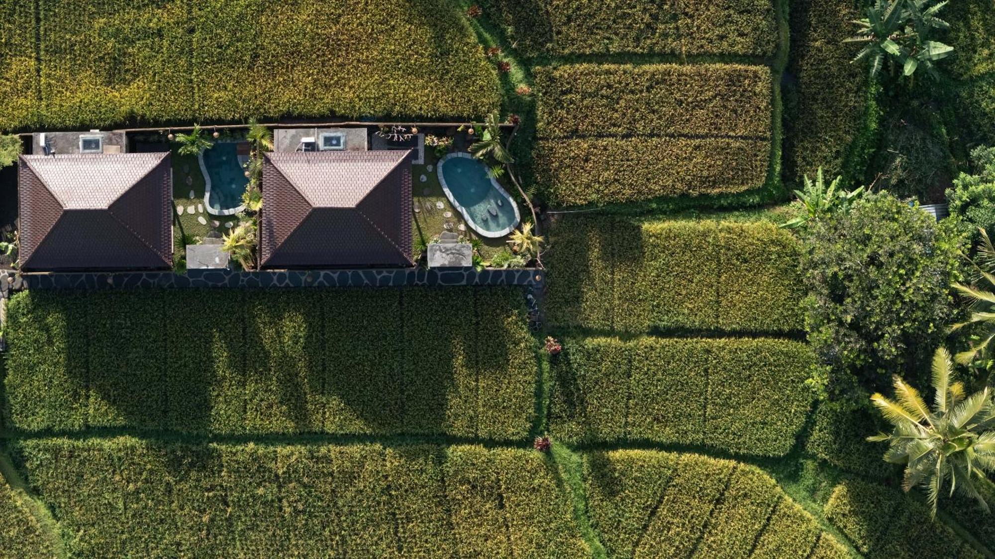 Sawah Sebatu Villa 乌布 外观 照片